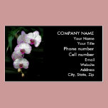 Cascading Orchid Beauties business cards