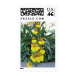 multiple, products, selected, cascading, orchids,