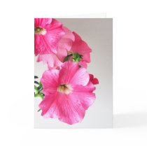 Cascading Pink Petunias Card