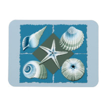 Cáscaras del mar azul y verde iman rectangular