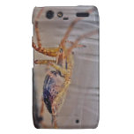 Case-Mate Barely There™" Motorola Droid RAZR Case
