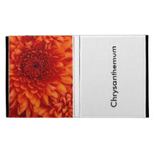 Caseable Case iPad Case