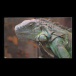 Caseable IPad Case with Iguana lizard caseable cases
