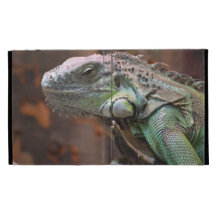 Caseable IPad Case with Iguana lizard