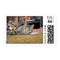 Casey being Lazy postage