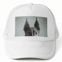 casey hat by accidentalmerch casey hat