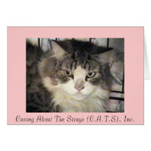Casey Notecard