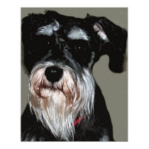 Casey posters