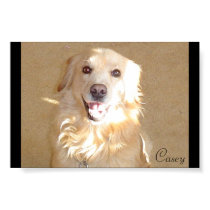 Casey posters