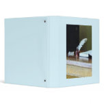 Cash Deposit binders