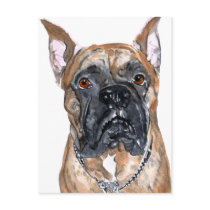 Cash the Boxer Postcard by mozache Cash the Boxer Postcard