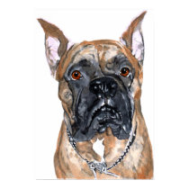 Cash the Boxer Print