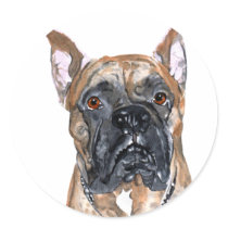 Cash the Boxer Round Stickers
