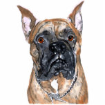 Cash the Boxer Sculpture Cut Outs