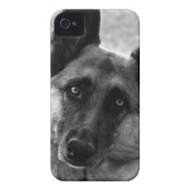 Caso del iPhone 4 del pastor alemán iPhone 4 Case-Mate Coberturas