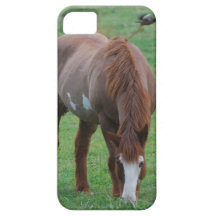 caso del iPhone 5 con el caballo y el pájaro iPhone 5 Case-Mate Cárcasa