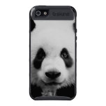 Caso del iPhone 5 del cargo de Skinit de la panda