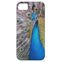 Caso del iPhone 5 del pájaro del pavo real iPhone 5 Cárcasa