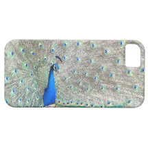 Caso del iPhone 5 del pájaro del pavo real iPhone 5 Case-Mate Coberturas