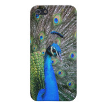 Caso del iPhone 5 del pavo real iPhone 5 Protectores