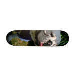 casper skateboards