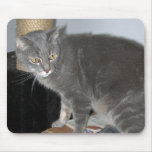 Casper the Cat Mousepad mousepads