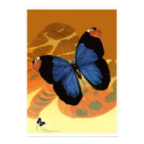 Caspian Blue Butterflies on orange cream wings posters