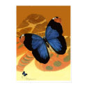 Caspian Blue Butterflies on orange cream wings print