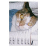 Cassie-Calico Cat Stationery Paper