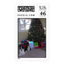 Cassie Christmas postage