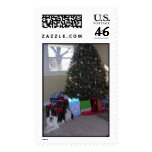 Cassie Christmas postage