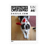 Cassie's Christmas postage