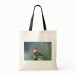 Cassin's Finch bags