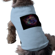 Cassiopeia Constellation Doggie Shirt
