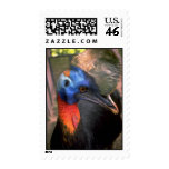 Cassowary Stamps