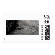 Cast a Tall Shadow postage by bhbphotos Cast a Tall Shadow postage