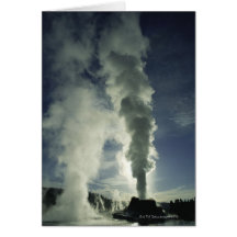 Castle Geyser ,Yellowstone National Park Card