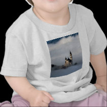 Castle in the Clouds t-shirts