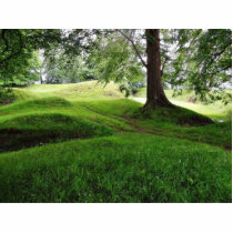 Castle Ireland photo sculptures