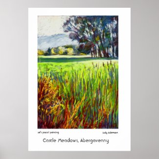 Castle Meadows, Abergavenny Print or Poster