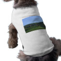 Castle Ruins pet clothing