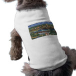 Castle Shannon Incline, Pittsburgh, PA Pet Clothes
