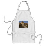 Castle yard, Wartburg, Thuringia, Germany Apron