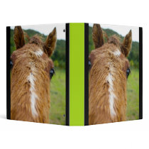 Castries binders by dorenemlorenz Castries binders