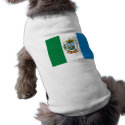 Castro  Parana, Brazil pet clothing