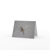 Casual Creature cards