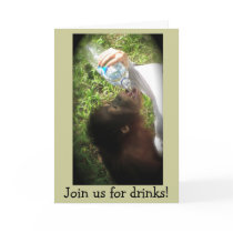 Casual Get Together Party invitation cards