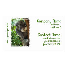 Casual Koala Business Cards