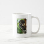 koala, koalas, koala bear, cute koala, koala bears, australia, australian koala, australian koala bear, bear, bears, marsupial, australian, aussie, mammal, animal, wildlife, wild life, wild animal, animals, koala photo, koala picture, love koalas