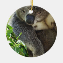 Casual Koala  Ornament
